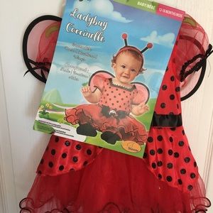 Halloween Baby Costume. Cute ladybug.